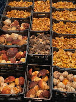 MIN de Rungis - Présentation de produits